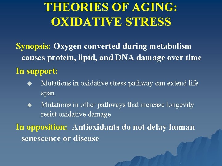 THEORIES OF AGING: OXIDATIVE STRESS Synopsis: Oxygen converted during metabolism causes protein, lipid, and