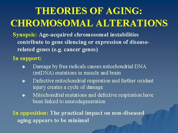 THEORIES OF AGING: CHROMOSOMAL ALTERATIONS Synopsis: Age-acquired chromosomal instabilities contribute to gene silencing or