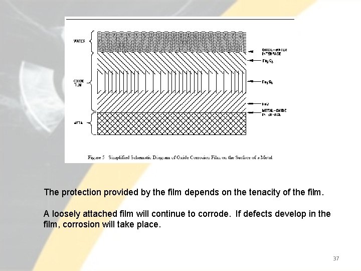 The protection provided by the film depends on the tenacity of the film. A