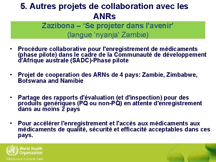 5. Autres projets de collaboration avec les ANRs Zazibona – ‘Se projeter dans l'avenir’
