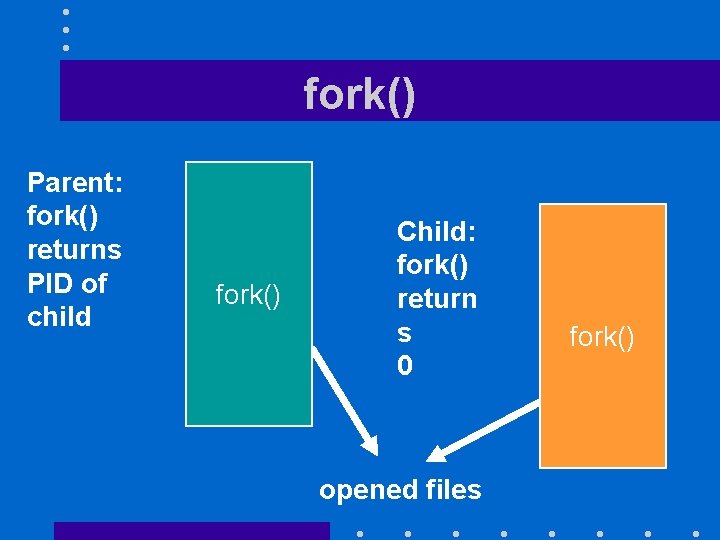 fork() Parent: fork() returns PID of child fork() Child: fork() return s 0 opened