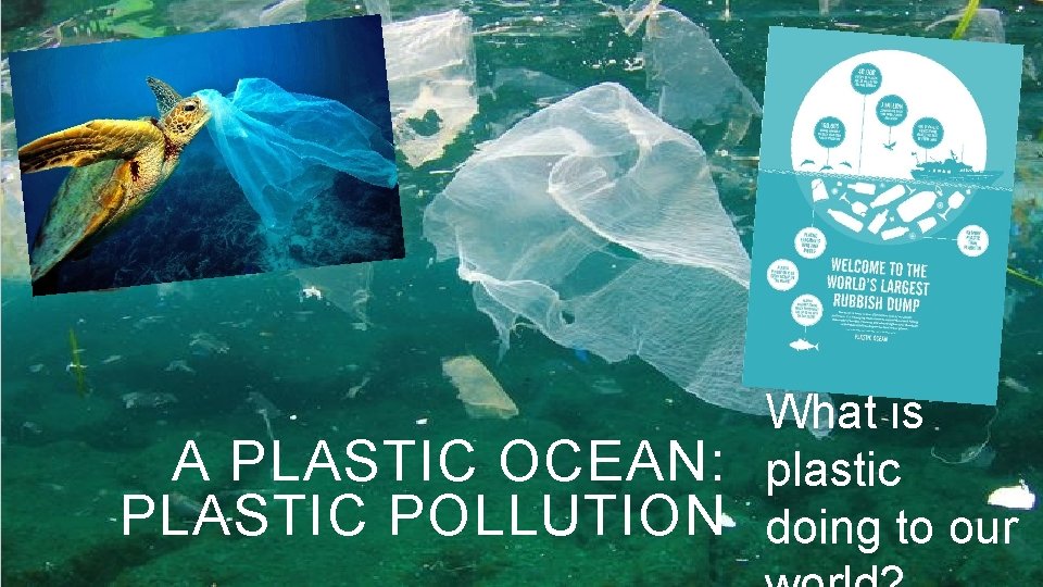 What is A PLASTIC OCEAN: plastic PLASTIC POLLUTION doing to our 