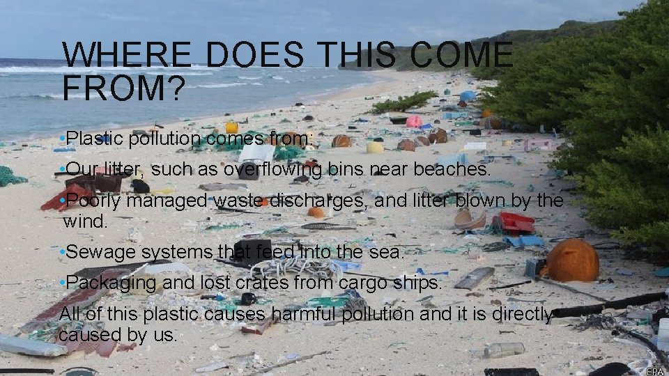 WHERE DOES THIS COME FROM? • Plastic pollution comes from: • Our litter, such