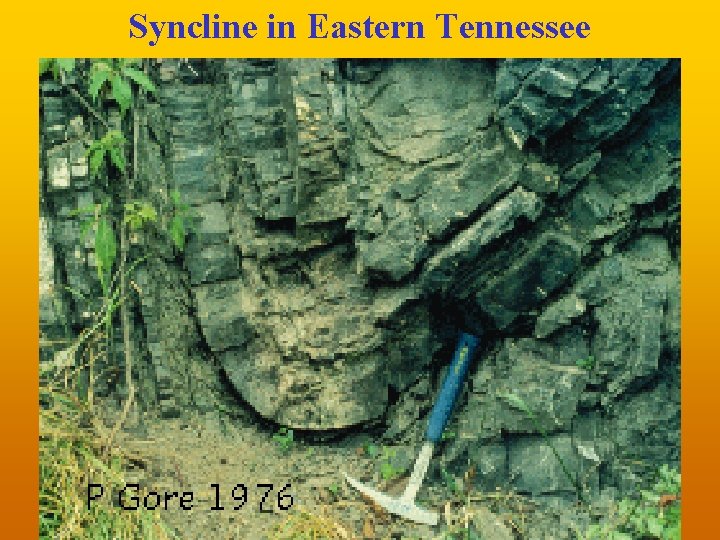 Syncline in Eastern Tennessee 