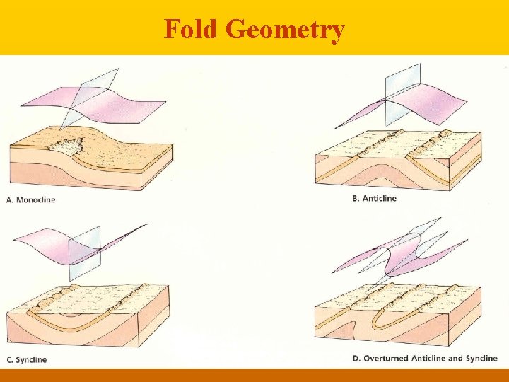 Fold Geometry 