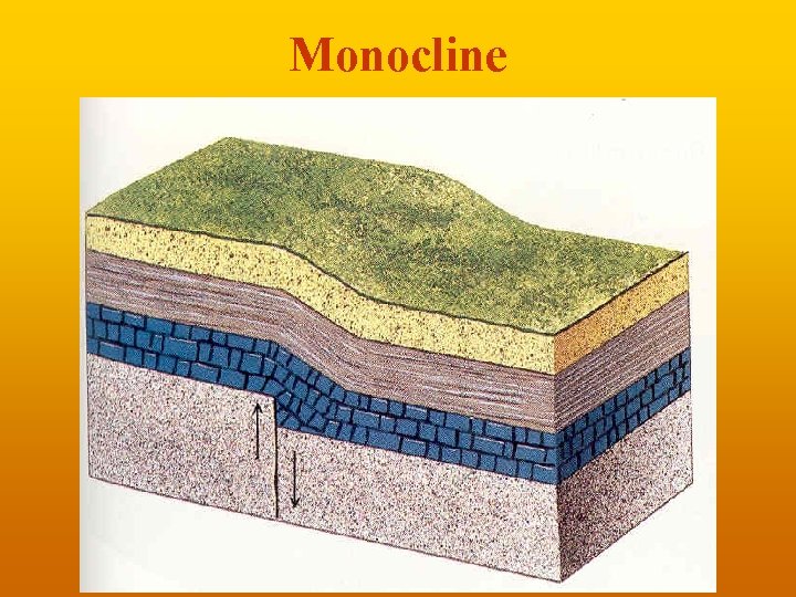 Monocline 