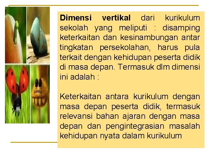 Dimensi vertikal dari kurikulum sekolah yang meliputi : disamping keterkaitan dan kesinambungan antar tingkatan