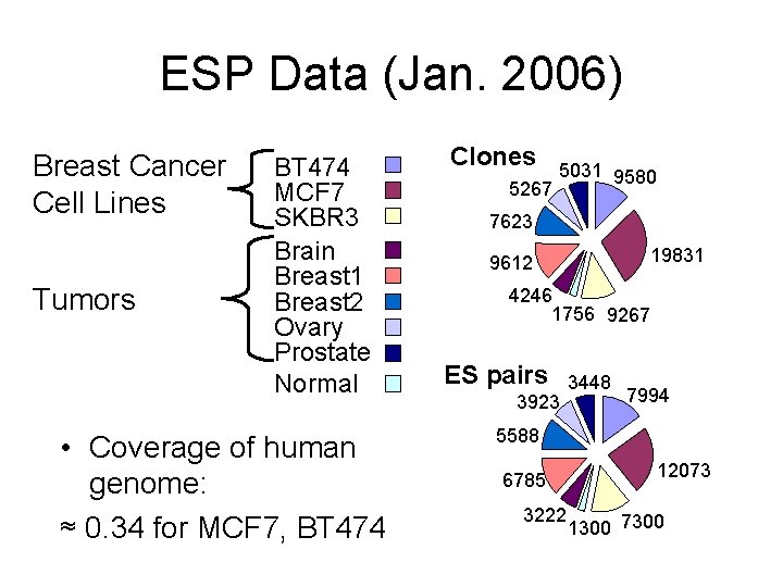 ESP Data (Jan. 2006) Breast Cancer Cell Lines Tumors BT 474 MCF 7 SKBR