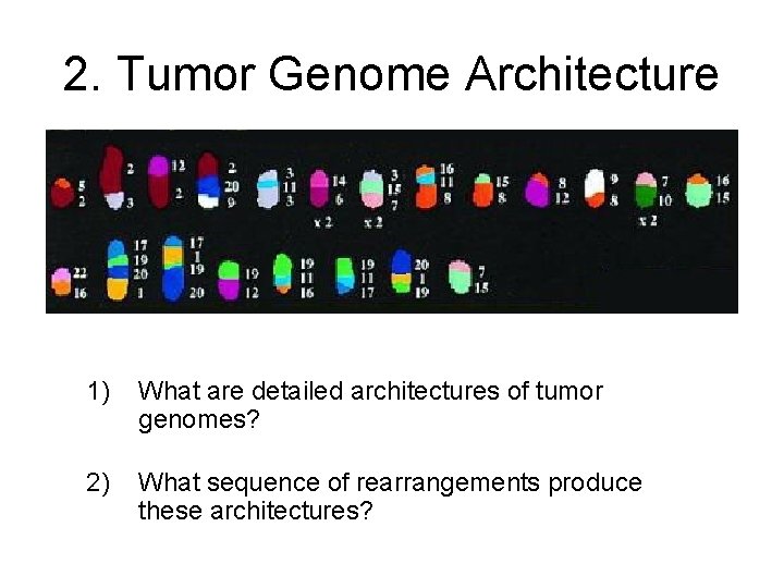 2. Tumor Genome Architecture 1) What are detailed architectures of tumor genomes? 2) What