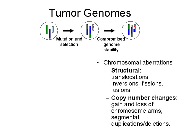 Tumor Genomes Mutation and selection Compromised genome stability • Chromosomal aberrations – Structural: translocations,