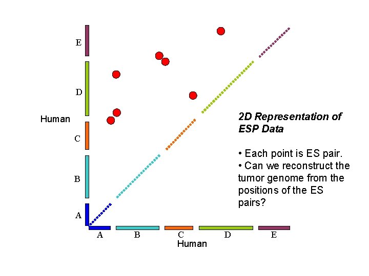 E D 2 D Representation of ESP Data Human C • Each point is