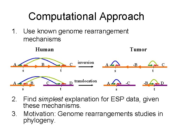 Computational Approach 1. Use known genome rearrangement mechanisms Human A Tumor B C B