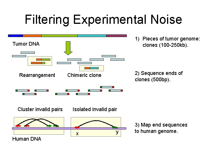 Filtering Experimental Noise 1) Pieces of tumor genome: clones (100 -250 kb). Tumor DNA