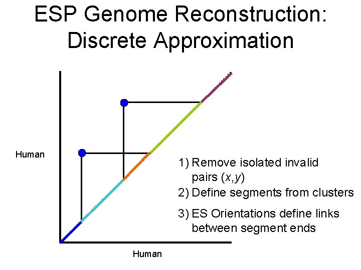 ESP Genome Reconstruction: Discrete Approximation Human 1) Remove isolated invalid pairs (x, y) 2)