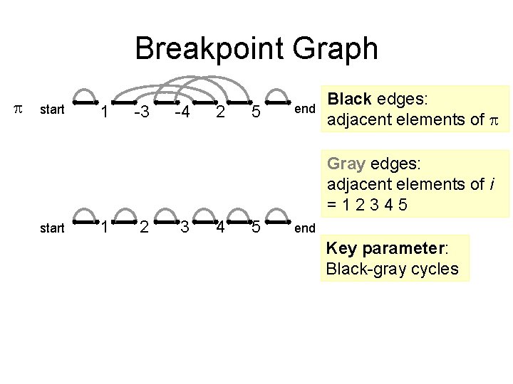 Breakpoint Graph start 1 -3 -4 2 5 end Black edges: adjacent elements of