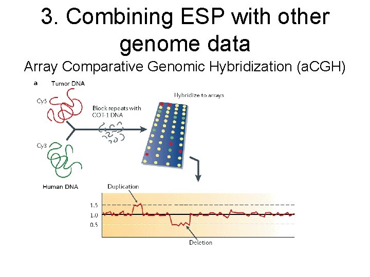 3. Combining ESP with other genome data Array Comparative Genomic Hybridization (a. CGH) 