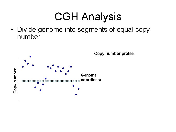 CGH Analysis • Divide genome into segments of equal copy number Copy number profile