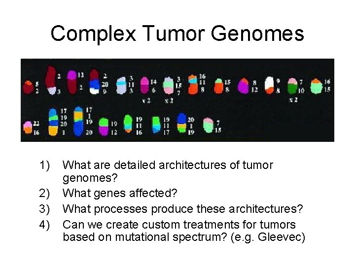 Complex Tumor Genomes 1) 2) 3) 4) What are detailed architectures of tumor genomes?