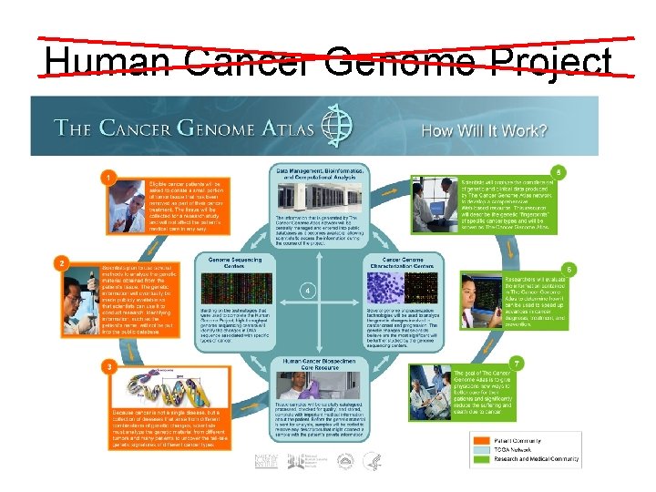 Human Cancer Genome Project 