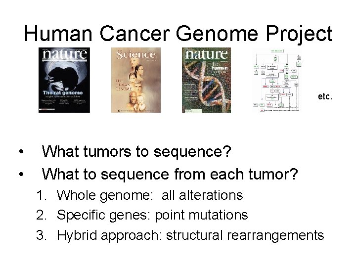 Human Cancer Genome Project etc. • • What tumors to sequence? What to sequence