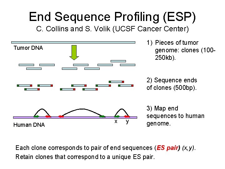 End Sequence Profiling (ESP) C. Collins and S. Volik (UCSF Cancer Center) 1) Pieces