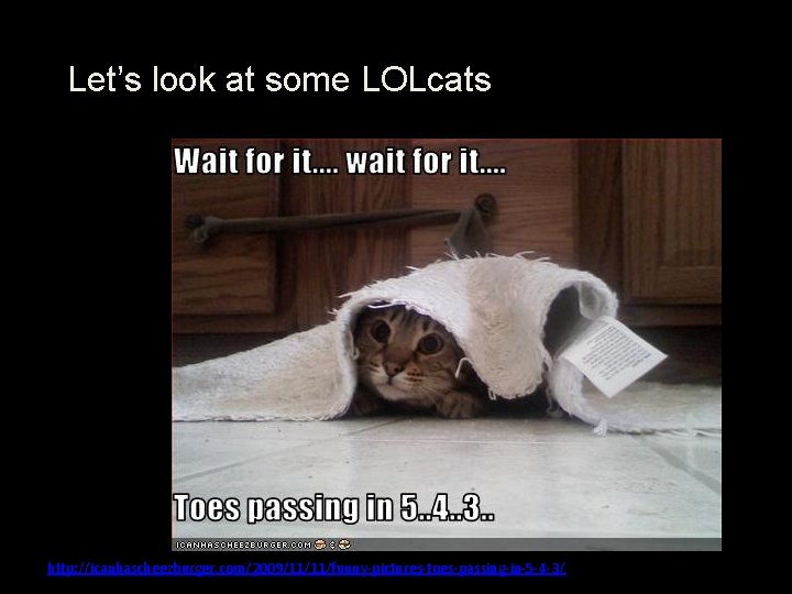 Let’s look at some LOLcats http: //icanhascheezburger. com/2009/11/11/funny-pictures-toes-passing-in-5 -4 -3/ 