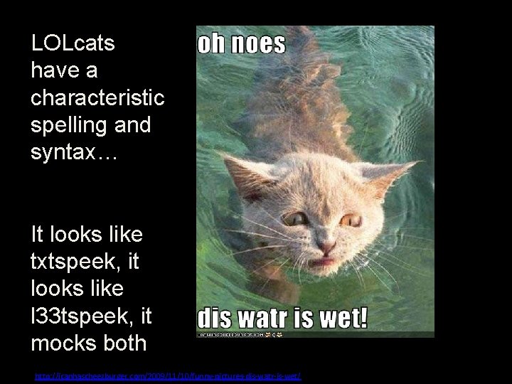 LOLcats have a characteristic spelling and syntax… It looks like txtspeek, it looks like