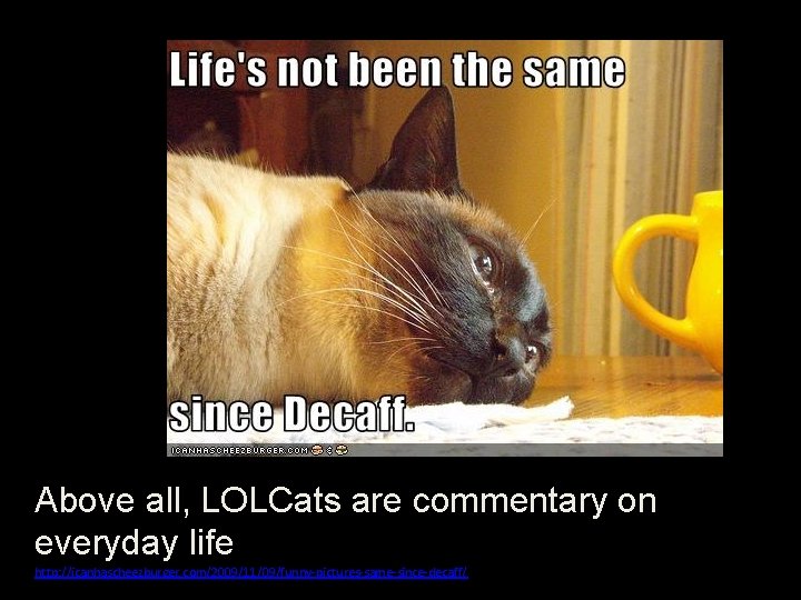 Above all, LOLCats are commentary on everyday life http: //icanhascheezburger. com/2009/11/09/funny-pictures-same-since-decaff/ 