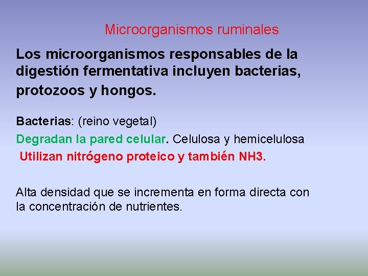 Microorganismos ruminales Los microorganismos responsables de la digestión fermentativa incluyen bacterias, protozoos y hongos.