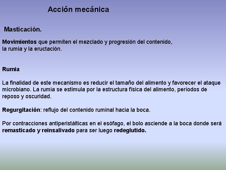 Acción mecánica Masticación. Movimientos que permiten el mezclado y progresión del contenido, la rumia