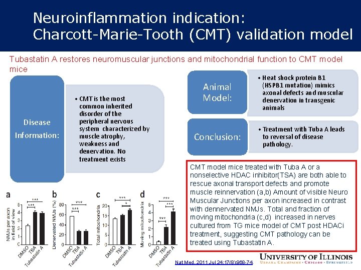 Neuroinflammation indication: Charcott-Marie-Tooth (CMT) validation model Tubastatin A restores neuromuscular junctions and mitochondrial function Neuroinflammation indication: Charcott-Marie-Tooth (CMT) validation model Tubastatin A restores neuromuscular junctions and mitochondrial function