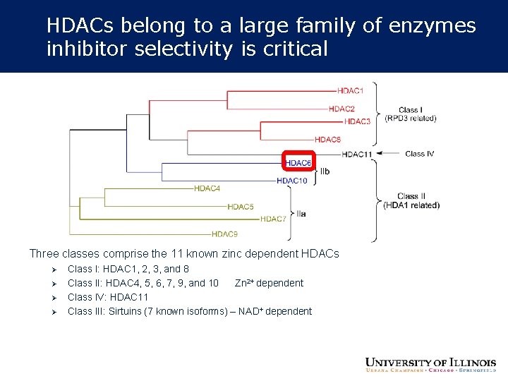 HDACs belong to a large family of enzymes inhibitor selectivity is critical Three classes HDACs belong to a large family of enzymes inhibitor selectivity is critical Three classes