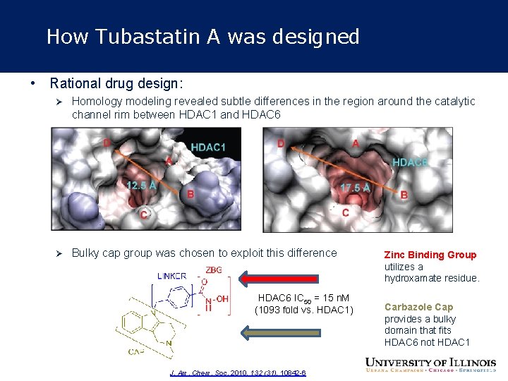 How Tubastatin A was designed • Rational drug design: Ø Homology modeling revealed subtle How Tubastatin A was designed • Rational drug design: Ø Homology modeling revealed subtle