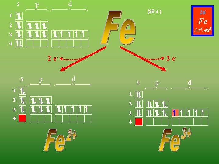 s d p (26 e-) 1 26 Fe 2 3 d 6, 4 s