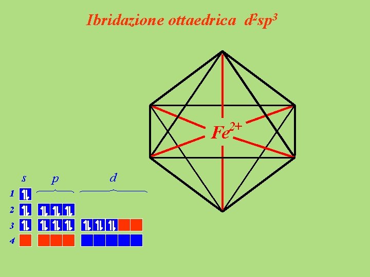 Ibridazione ottaedrica d 2 sp 3 2+ Fe s 1 2 3 4 p