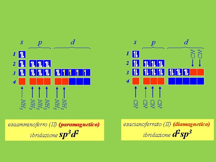 1 2 2 3 3 4 4 NH 3 NH 3 esaamminoferro (II) (paramagnetico)