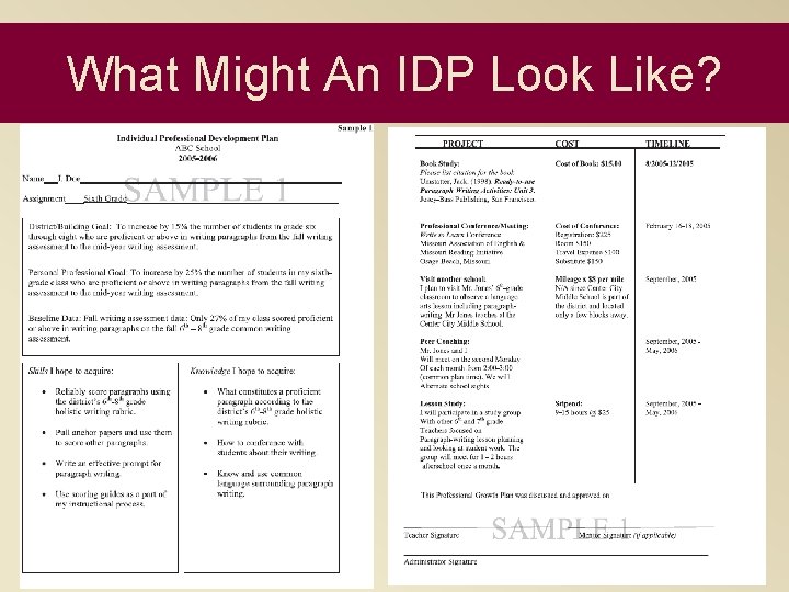 What Might An IDP Look Like? 