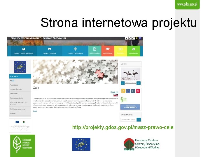 Strona internetowa projektu http: //projekty. gdos. gov. pl/masz-prawo-cele 