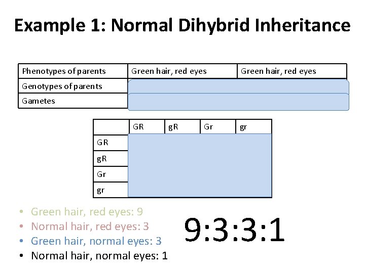 Example 1: Normal Dihybrid Inheritance Phenotypes of parents Green hair, red eyes Genotypes of