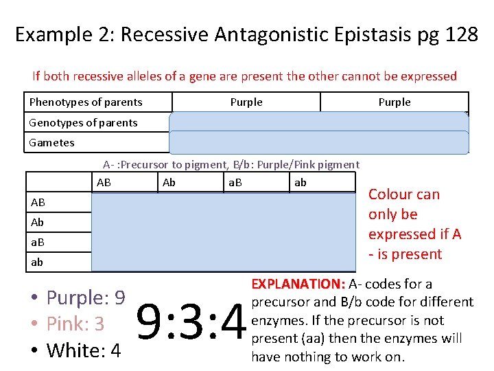 Example 2: Recessive Antagonistic Epistasis pg 128 If both recessive alleles of a gene