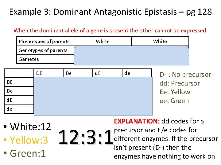 Example 3: Dominant Antagonistic Epistasis – pg 128 When the dominant allele of a