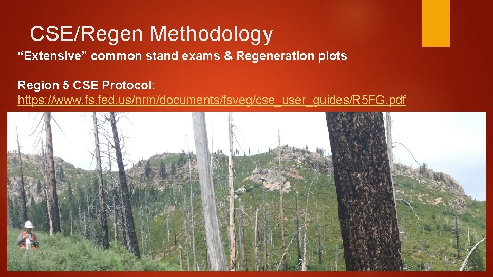 CSE/Regen Methodology “Extensive” common stand exams & Regeneration plots Region 5 CSE Protocol: https: