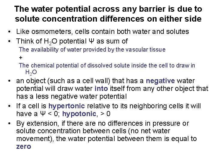 The water potential across any barrier is due to solute concentration differences on either