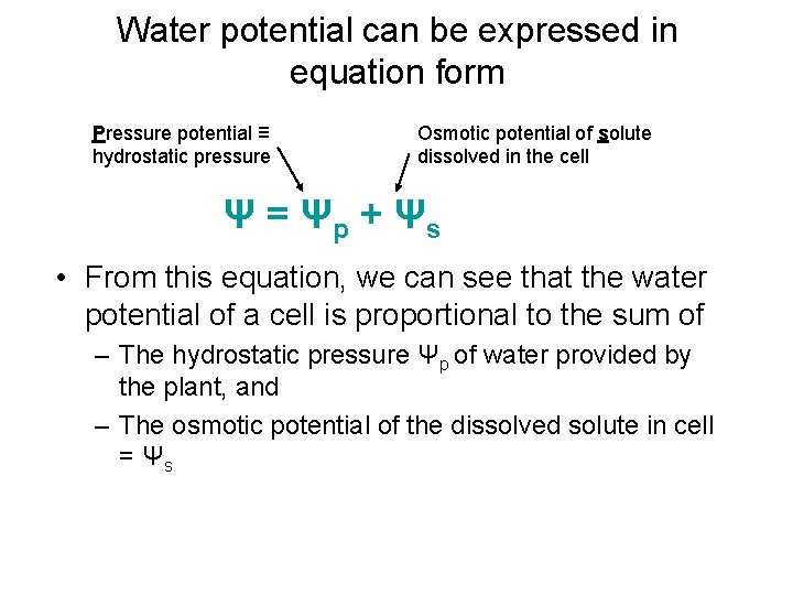 Water potential can be expressed in equation form Pressure potential ≡ hydrostatic pressure Osmotic