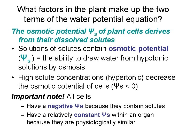 What factors in the plant make up the two terms of the water potential