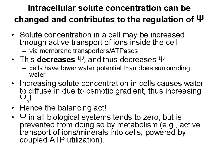 Intracellular solute concentration can be changed and contributes to the regulation of Ψ •