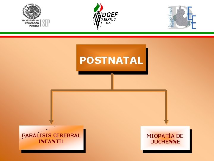 POSTNATAL PARÁLISIS CEREBRAL INFANTIL MIOPATÍA DE DUCHENNE 