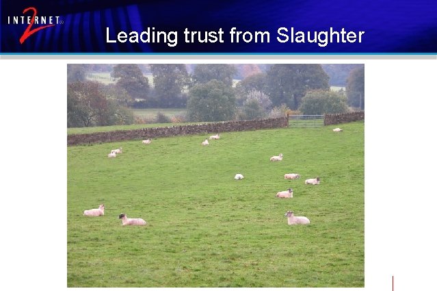 Leading trust from Slaughter 