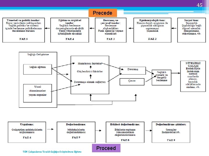 45 Precede TSM Çalışanlarına Yönelik Sağlığın Geliştirilmesi Eğitimi Proceed 
