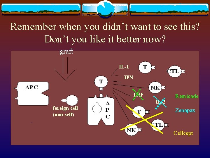 Remember when you didn’t want to see this? Don’t you like it better now?